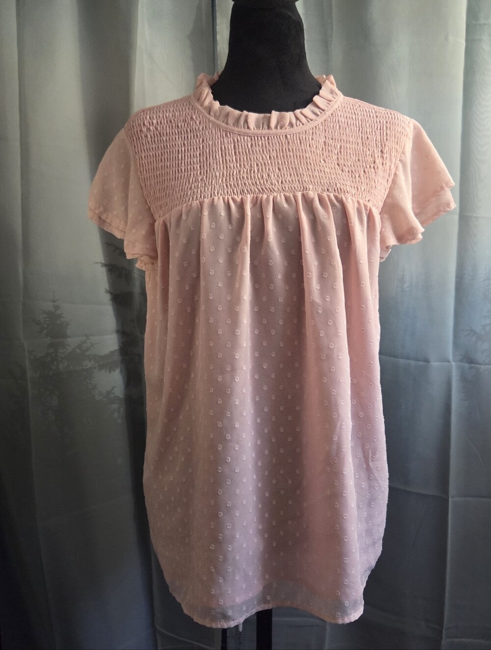 Women’s Pink Cottagecore Swiss Dot Smocked Yoke Blouse